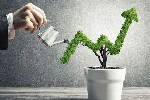 Business Valuation Perth