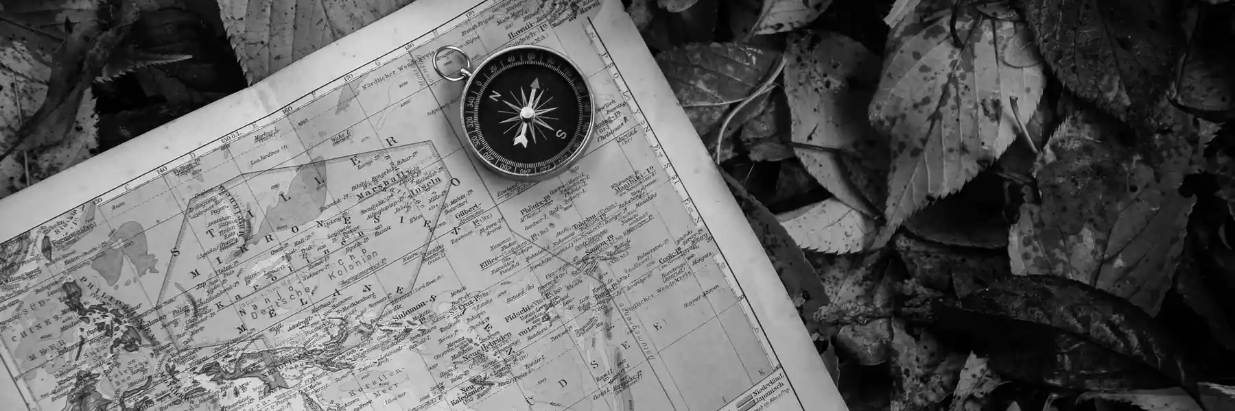 Business Valuation Expert